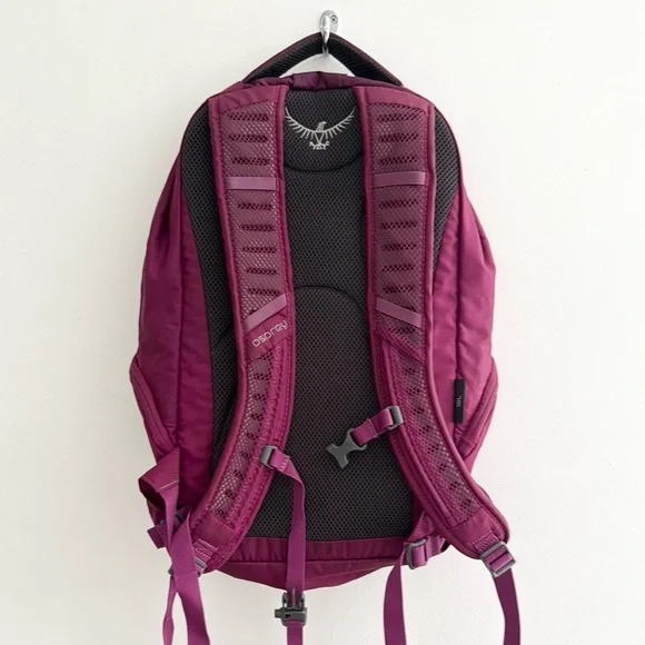 Osprey Axis Backpack in Deep Plum - Picture 2 of 14